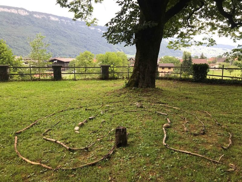 Kreis aus Ästen unter einem grossen Baum auf einer Wiese