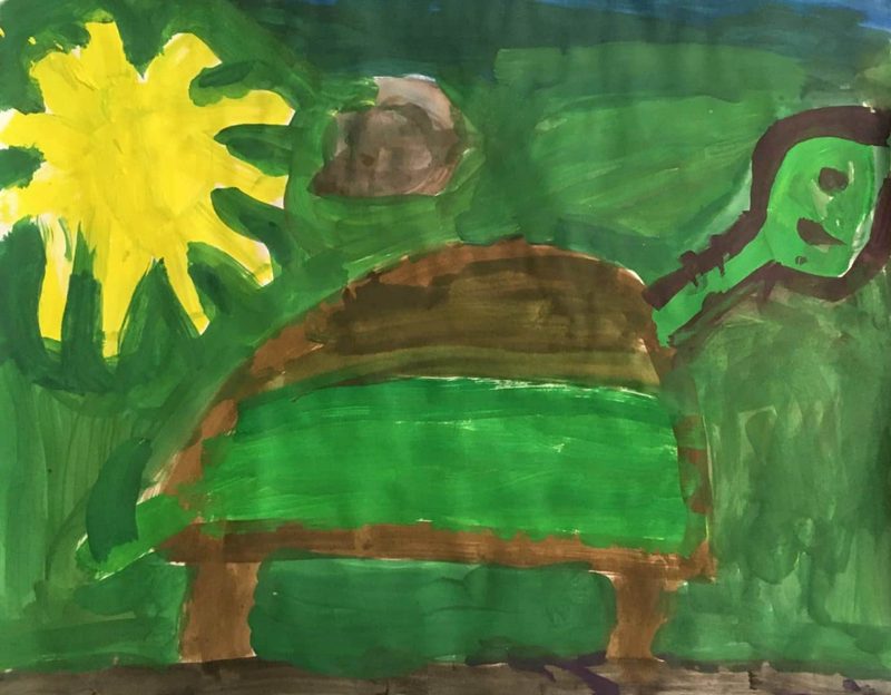 Schildkröte unter gelber Sonne
